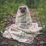 Emmy Gerlach Profile Picture