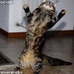 Stacey Durgan Profile Picture