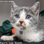 Elisabeth Kihn Profile Picture