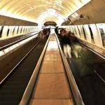 Aiyana Cummerata Profile Picture