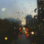 Robin Borer Profile Picture