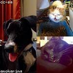 Ramon Dicki Profile Picture