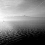 Ben Waelchi Profile Picture