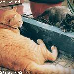 Jacky Klein Profile Picture