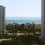 Obie McDermott Profile Picture