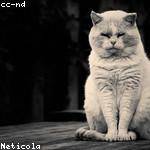 Malika Abshire Profile Picture