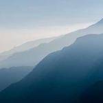 Hollie Bechtelar Profile Picture