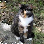 Enola Schamberger Profile Picture