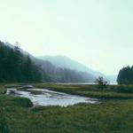 Madilyn Bosco Profile Picture