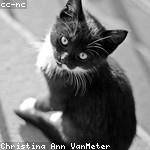 Dasia Lakin Profile Picture