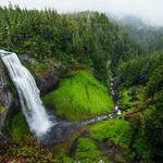 Darrick Bauch Profile Picture