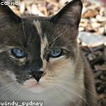 Kira Kutch Profile Picture