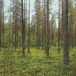 Kariane Rice Profile Picture