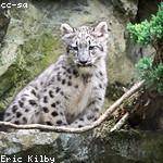 Letha Boyle Profile Picture