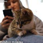 Lilla Morar Profile Picture