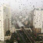 Eve Gaylord Profile Picture