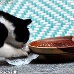 Frances Rath Profile Picture