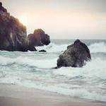 Nora Ankunding Profile Picture