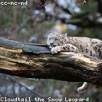 Carter Ankunding Profile Picture