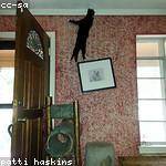 Candido Veum Profile Picture