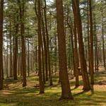 Jett Gleason Profile Picture