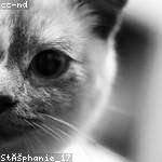 Antonetta Yundt Profile Picture