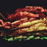 Scot Turner Profile Picture