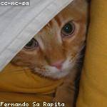 Mafalda Jenkins Profile Picture