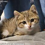 Easter Schroeder Profile Picture