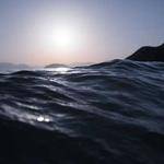 Haskell McKenzie Profile Picture