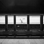 Stacy Harber Profile Picture