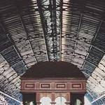 Ned Moen Profile Picture