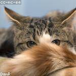 Doris Bogisich Profile Picture