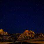 Shyann Nikolaus Profile Picture