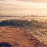 Darrin Howell Profile Picture