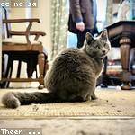 Camron Breitenberg Profile Picture