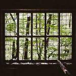 Lindsey Feeney Profile Picture