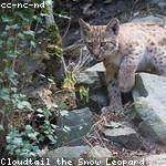 Fermin Mueller Profile Picture