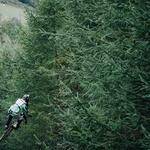 Kallie Reichert Profile Picture