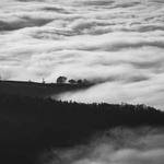 Delta Lebsack Profile Picture