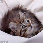 Juston Fay Profile Picture