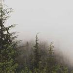 Selena Padberg Profile Picture