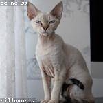 Randy Conroy Profile Picture