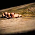 Rollin Wunsch Profile Picture