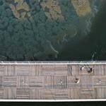 Polly Thompson Profile Picture