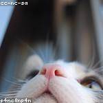 Eudora Rau Profile Picture