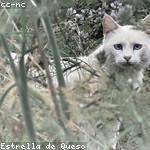 Julio Bayer Profile Picture