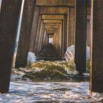 Michelle Bauch Profile Picture