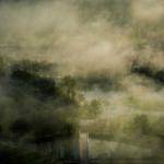 Oran Leffler Profile Picture