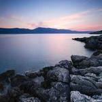 Wilford Bayer Profile Picture